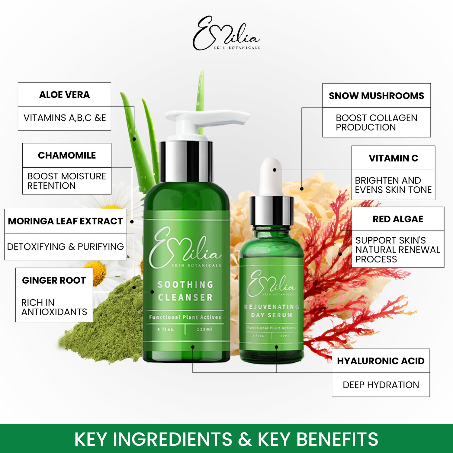 Emilia Skin Botanicals Day Kit