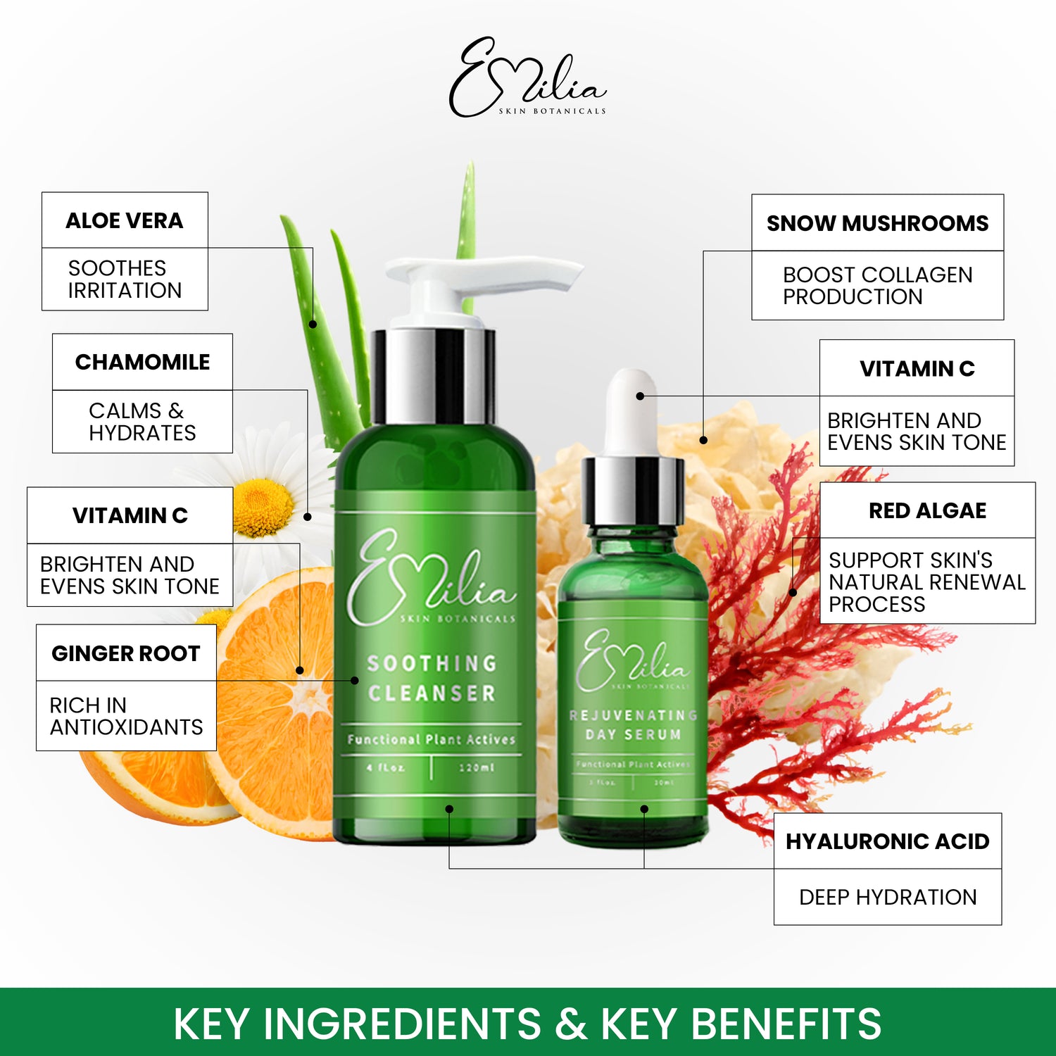Emilia Skin Botanicals Day Kit