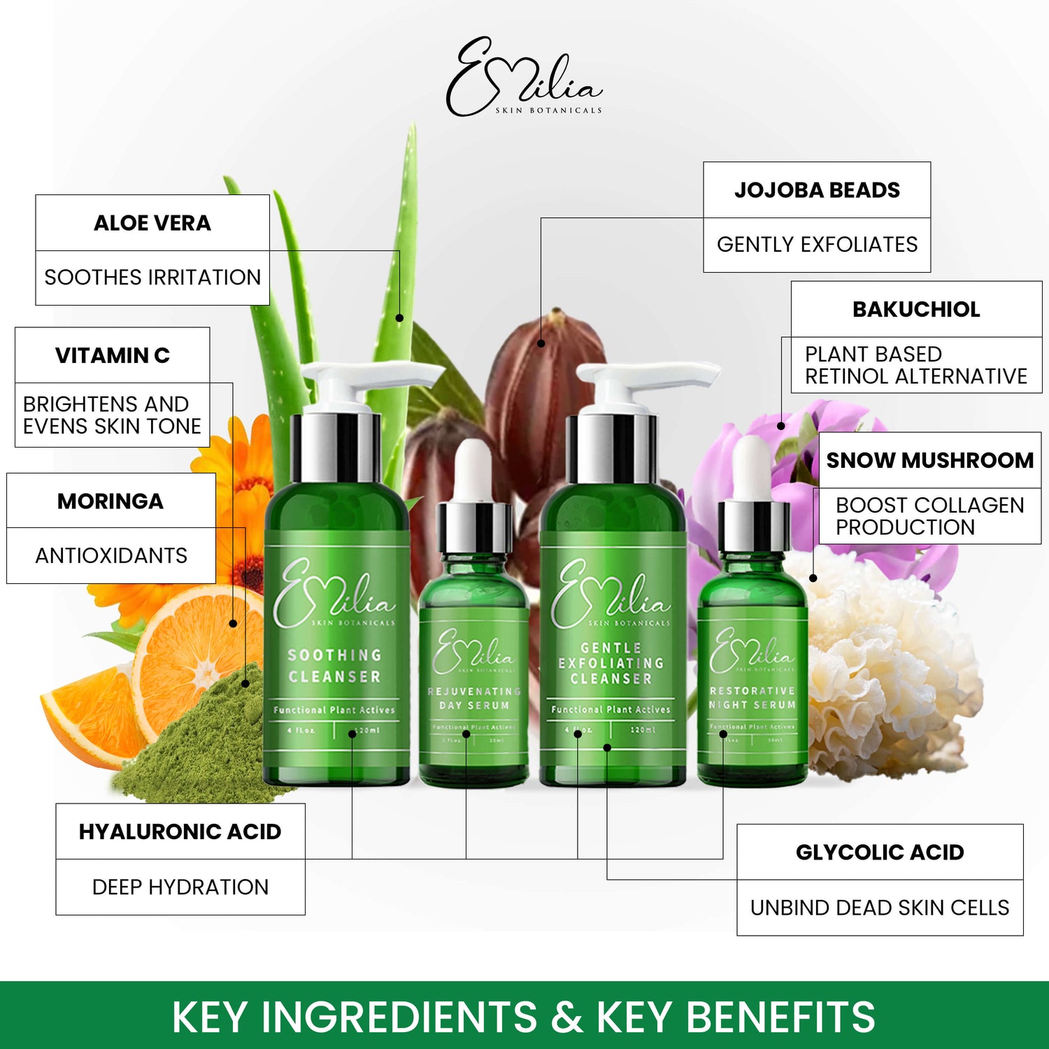 Emilia Skin Botanicals Full Set (Day and Night Kit)