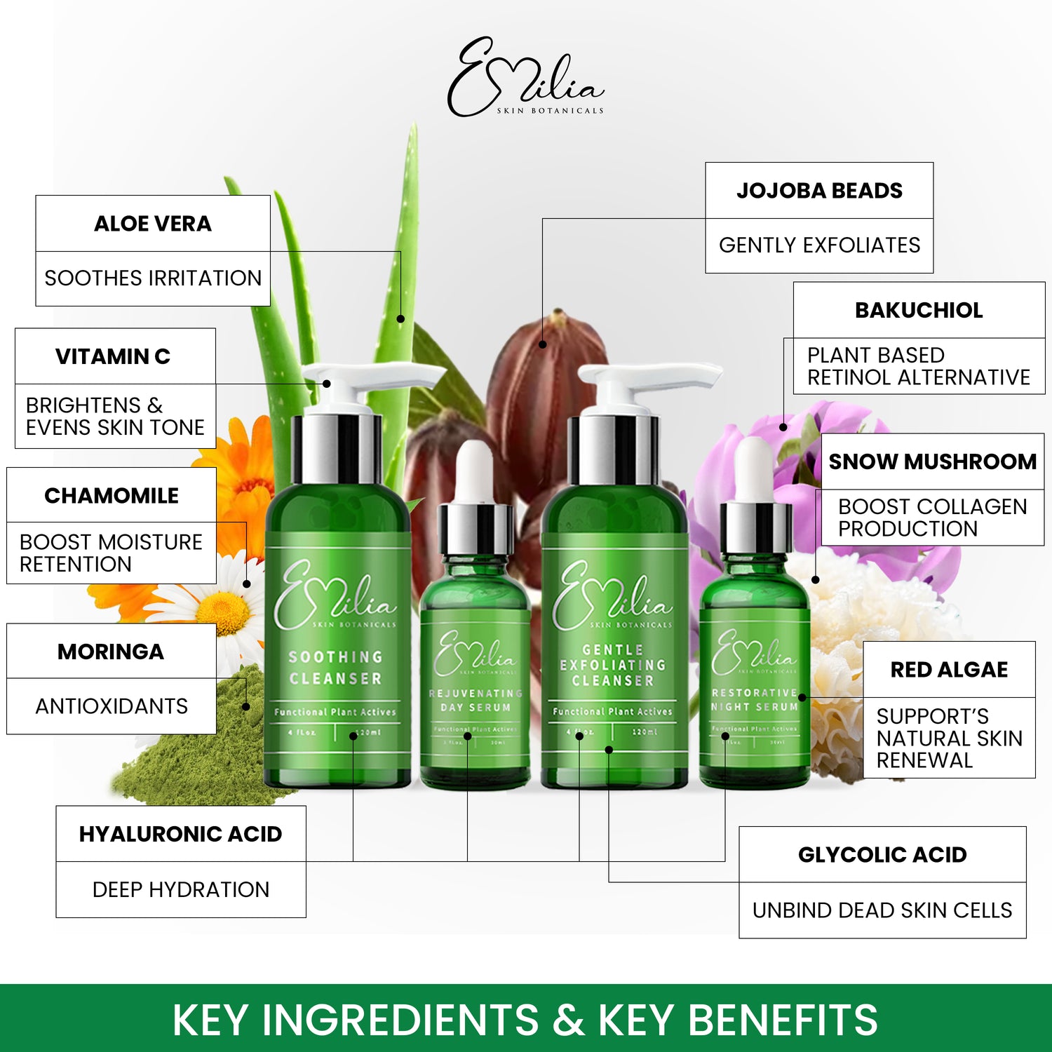Emilia Skin Botanicals Full Set (Day and Night Kit)
