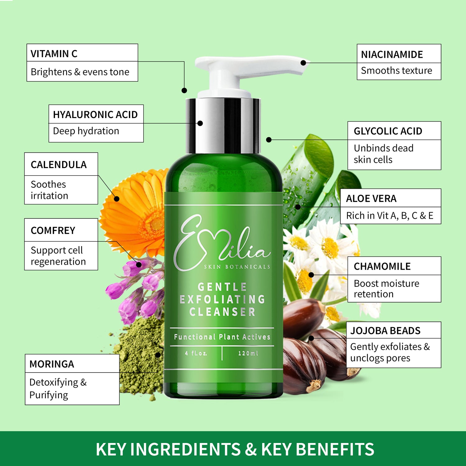 Emilia Skin Botanicals Gentle Exfoliating Cleanser