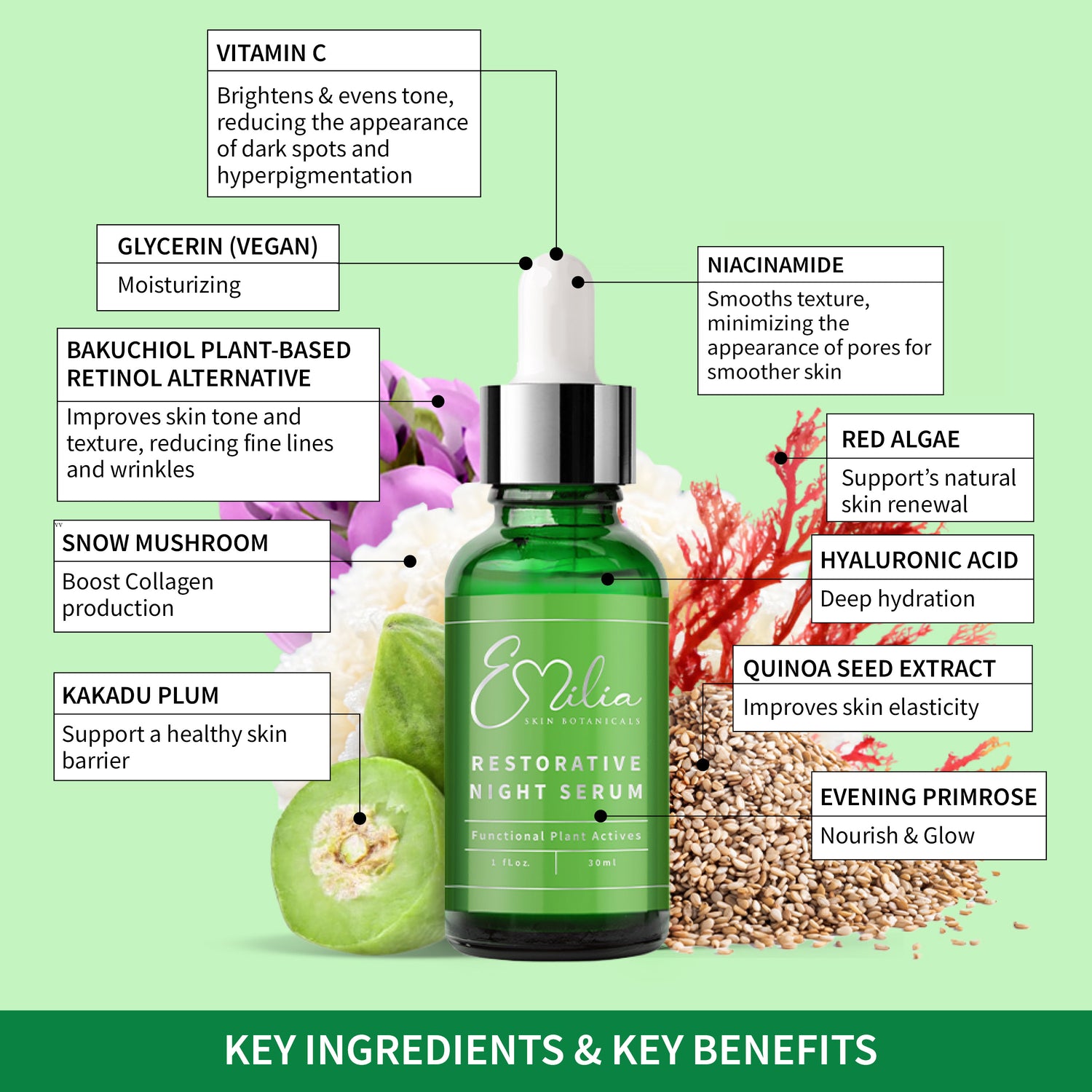 Emilia Skin Botanicals Restorative Night Serum