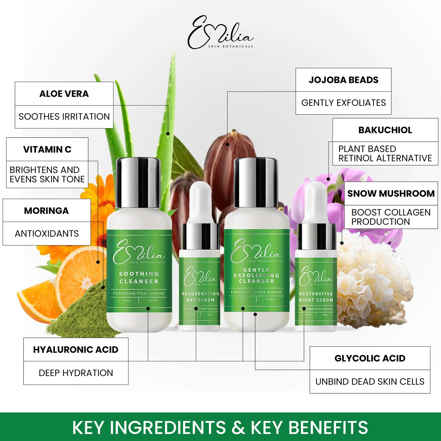 Emilia Skin Botanicals Travel Kit (Free Travel Bag)
