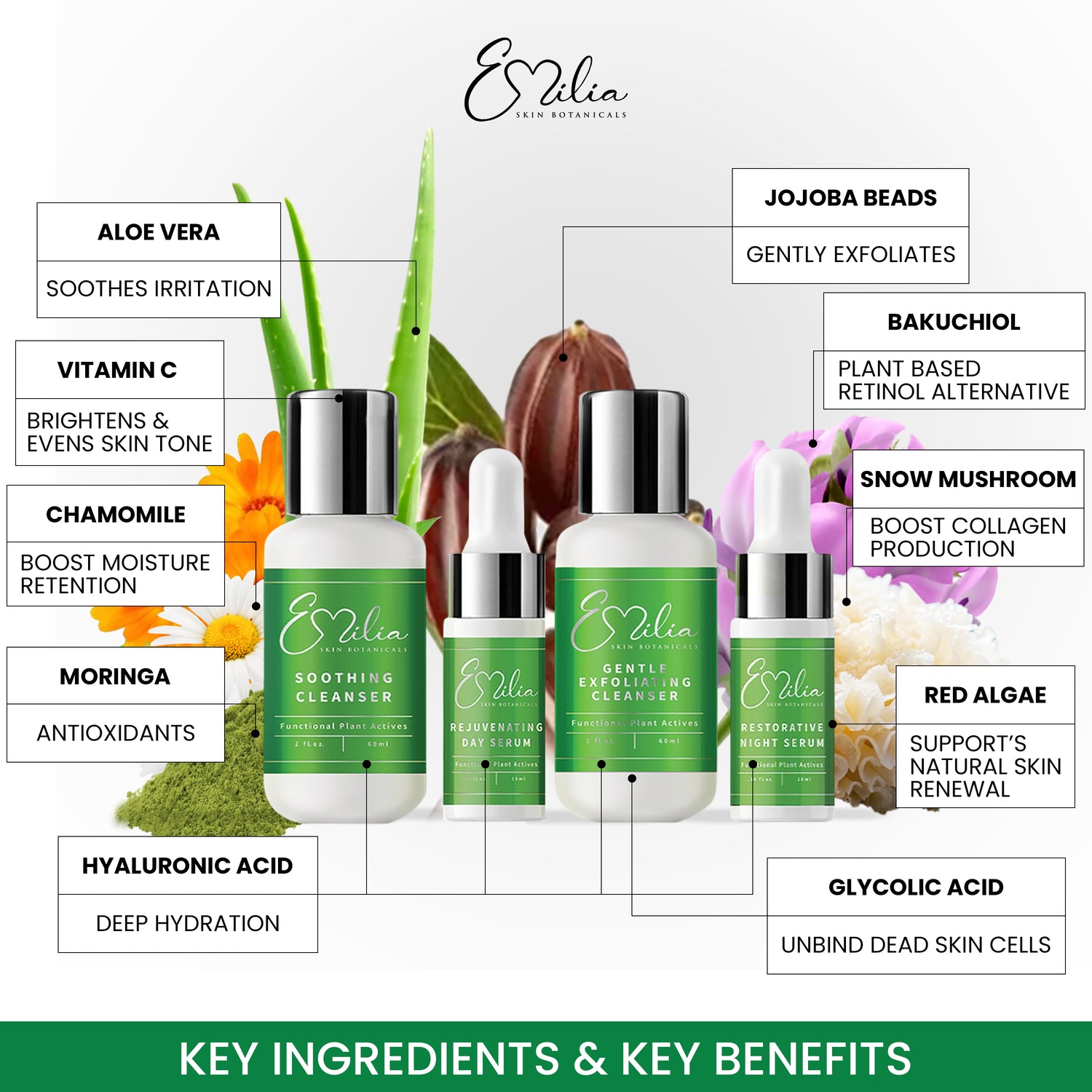Emilia Skin Botanicals Travel Kit (Free Travel Bag)